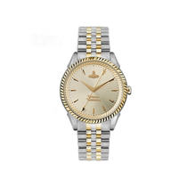 Korean direct mail vivienne westwood universal sports watch
