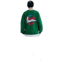 Korean direct mail BSRABBIT fashionable ski sports brand outdoor versatile sweatshirt 3615805