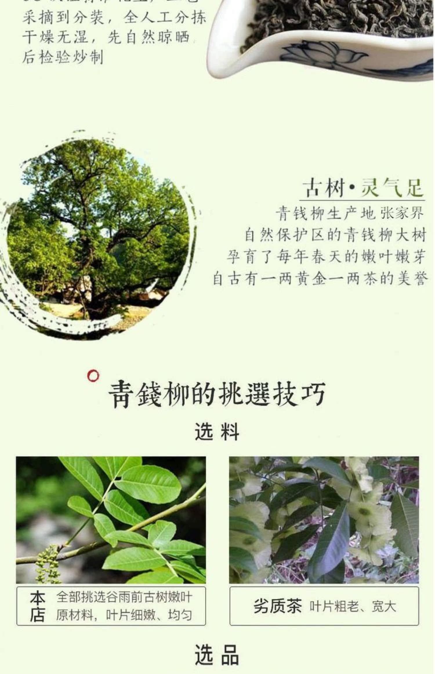 青钱柳茶古树嫩叶茶清金钱柳正品