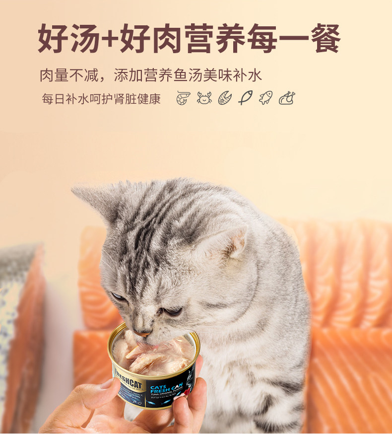 freshcat 金枪鱼白肉猫罐头 85g*6罐 图4