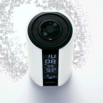 Japan direct mail seiko clock SS201W