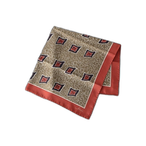 Japan direct mail UNITED ARROWS mens silk printed scarf 13363433921