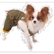(Direct mail from Japan) Iris Ohyama Pet Diaper Cover Khaki S OCV