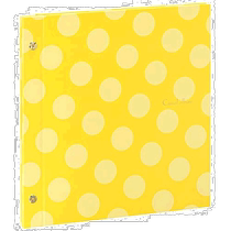 (Direct mail from Japan) Sedia self-adhesive photo album 20 sheets yellow XP-4310XP-4310-50