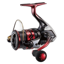 Japan direct mail Shimano spinning fishing reel SEPHIA SS C3000SHG 19 year model egg fishing