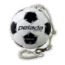 Japan Direct Mail No. 5 Header Molten Male and Female Pereda Tesser Header Training Ball Football Mo