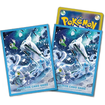 (Direct Mail from Japan) Pokemon Card Game Card Set Protection Pack BAO WEN Family