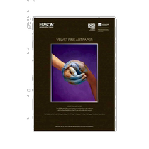 (Japanese direct mail) EPSON printers for paper days goose down fine art paper A3 Size 10 sheets
