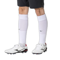 MIZUNO Mizuno (men and women) calf socks P2MXB07079 Ho