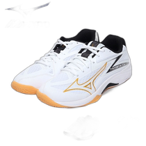 Direct mail from Japan Mizuno volleyball shoes V1GA2370 shoes low-top sports sports club activity training Z