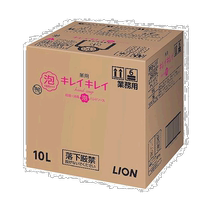 Japan direct mail Japan direct purchase LION Beautiful Medicated Foam Hand Sanitizer 10LBPGHA10F