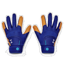 Nichia Under Armor Mens Two-Handed Baseball Batting Gloves Blue L A-10
