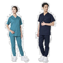 (Direct mail from Japan) Mizuno Medical Workwear Unisex MZ0120 Algae Green 3L