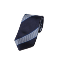 Japan direct mail LIFE STYLE TAILOR 24AW domestic version silk tie DT461VL001