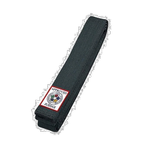 Japan direct mail Mizuno Mizuno mens and womens plain fabric belt 22JV9A15