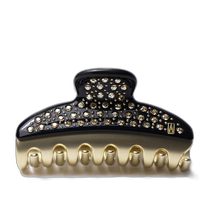Japan direct mail Alexandre de Paris VENDOME CLIP M hairpin hairpin hair accessories for women I