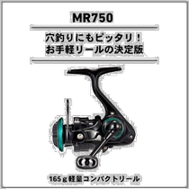 Japan Direct mail and spinning wheel 19MR 750 2019 model