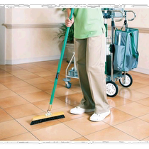 Japan direct mail Japan direct purchase TERAMOTO free eagle tube handle 30 cm CL 380 130 0 dust