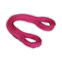 Ritchie errand MAMMUT 9 5 rock wall dry rope Dry Standard pinkzen 50 m