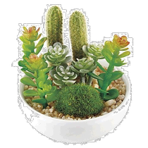 (Direct Mail from Japan) Kishima Deodorizing Artificial Green Succulent Shiitake Mushroom KH-60987