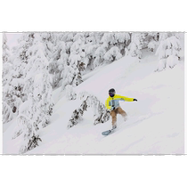 Nichio errand running Burton Danshi Burton ak] Freebird GORE-TEX 3L suspender