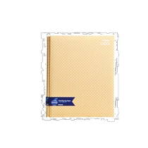 (Direct mail from Japan) (Nakabayashi) Album PraffineA4 Yellow A-A4P-164-Y