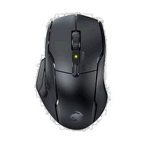 Japon Direct Mail (Japan Direct Mail) Souris dordinateur de jeu Roccat Esports sans fil ROC