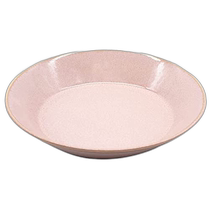 Japan direct mail (Japan direct mail) Aito (tableware) curry pasta plate about 21 cm pink