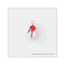 Japanese direct mail Japanese trend agete Akado＜WB100th Anniversary × agete＞Silver K10 Red