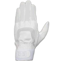 Direct mail from Japan Hi-GOLD Hi-GOLD CTH-2 left-handed baseball batting glove