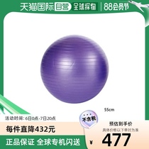 Japan direct mail evernew universal fitness ball
