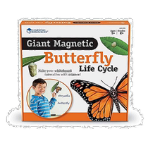(Direct mail from Japan) Learning Resources Magnetic Butterfly Life Cycle LER6043