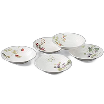 Japan Direct Mail (Japan Direct Mail) Narumi Narumi Berry Totem Dinner 5-piece Set 16cm 9601