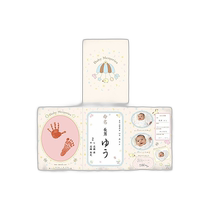 (Direct mail from Japan) Pilot childrens birth commemorative paper hand-painted value souvenir naming paper