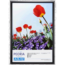 HAKUBA PEORIA series aluminum photo frame A3₊ size black