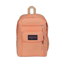 Japanese direct mail OTHER large-capacity backpack for men and women JS0A47JKZ72
