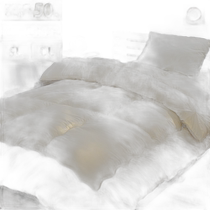 Japan Direct Mail General Quilt Goose Down