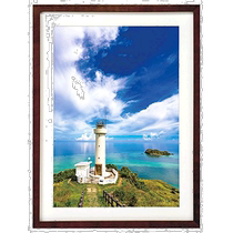 HAKUBA photo frame MM-01 A3 wooden acrylic board brown FWMM01-BRA3 wooden