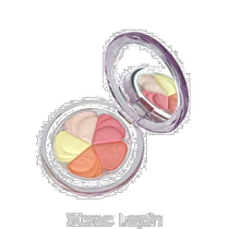 Japan direct mail jill stuart universal blush