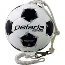 Japan direct mail Molten Pereda Tesser No. 5 ball F5L9300