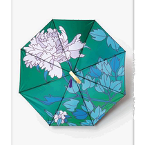 (Direct mail from Japan) カヤ ladies umbrella