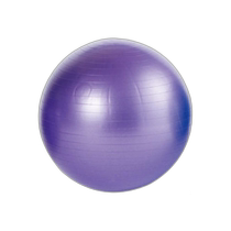 Japan direct mail 65 cm EVERNEW mens and womens youth non-explosive balance ball sports equipment