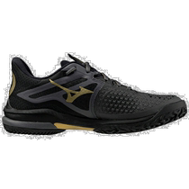 Japanese direct mail mizuno mens casual shoes Mezzinung