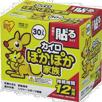 Japan direct mail Japan direct purchase IRIS 264591 Nuannuan family patch regular 30PPKN-30HR