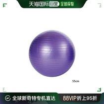 Japan direct mail evernew universal fitness ball