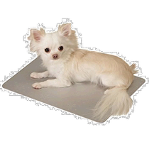 (Japanese direct mail) Alice pets with heat dissipation plate 40 x 30 0 5cm silver APD-S