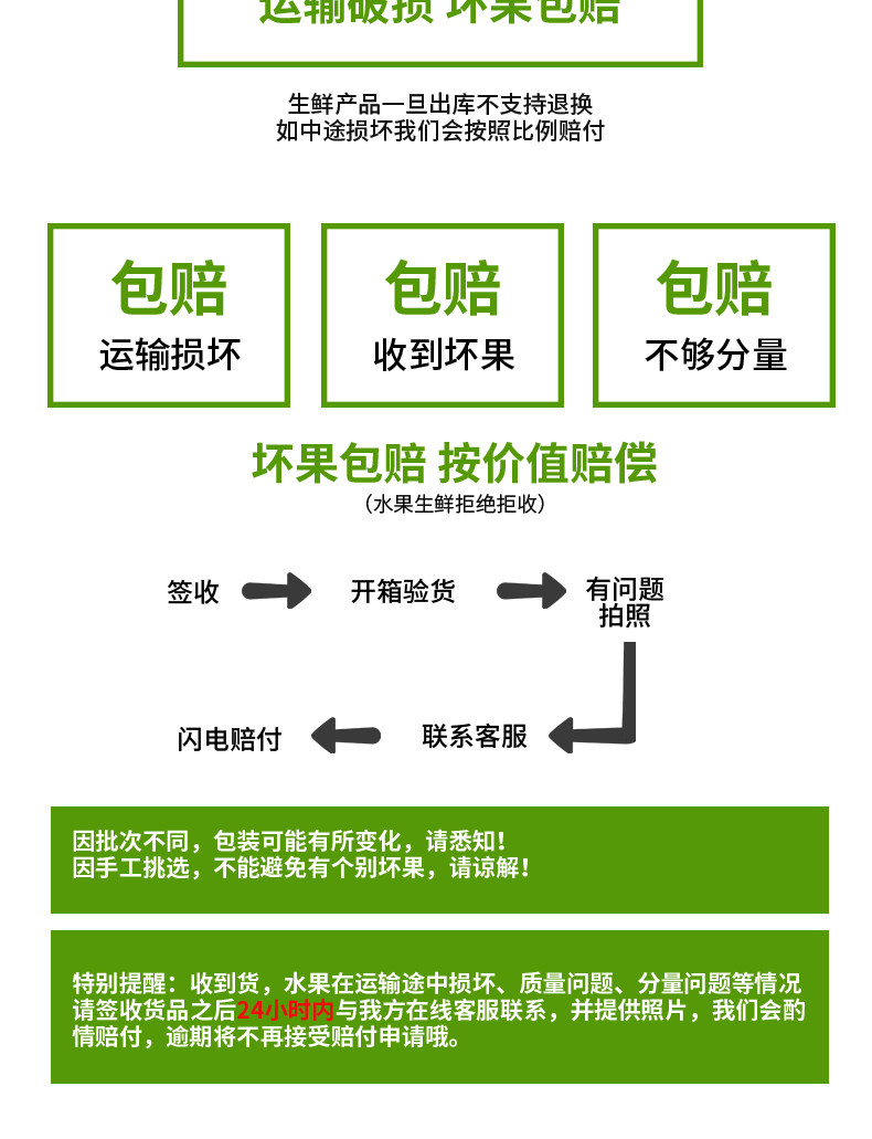 逗嘴鼠 潍坊潍县水果萝卜 净重4.5斤 图15