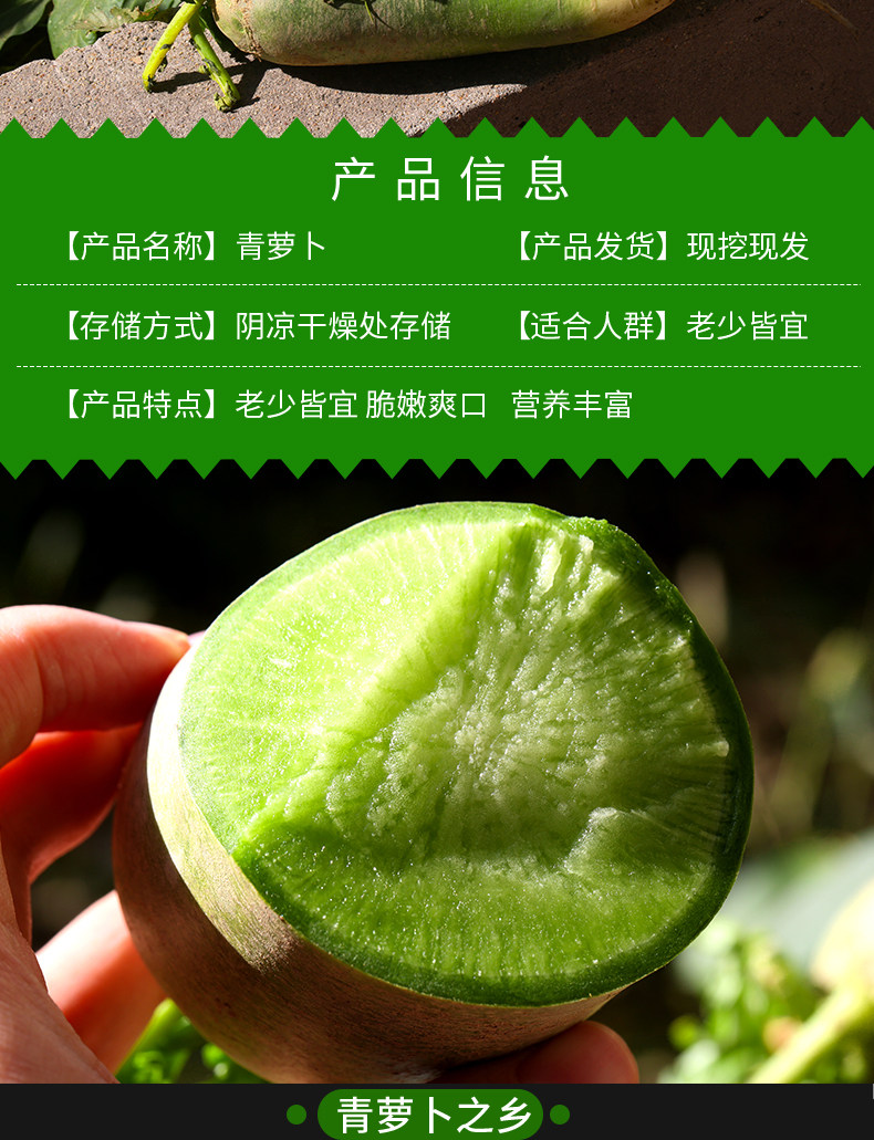 逗嘴鼠 潍坊潍县水果萝卜 净重4.5斤 图3