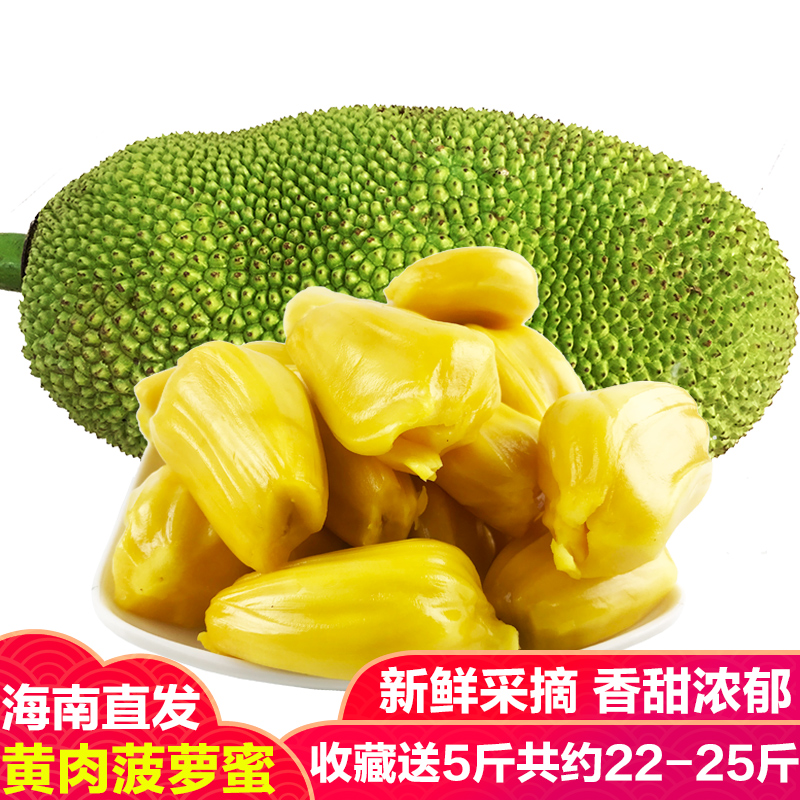 新鲜海南菠萝蜜：热带水果的新宠