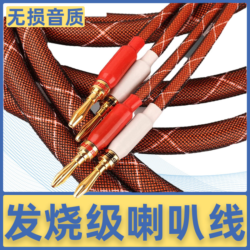Akihabara Lb5110 Audiophile Speaker Cable Banana Plug Single Crystal Copper Main Speaker Center Channel Connection Cable Preamplifier